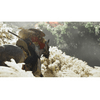 Ghost of Tsushima PS4 Ghost of Tsushima PS4