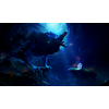 Xbox One - Ori and the Will of the Wisps Collector's Edition Xbox One - Ori and the Will of the Wisps Collector's Edition