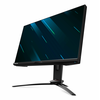 Acer Predator X25 24,5