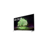 LG OLED48A13LA 48