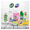 Cif + Domestos tisztítószer csomag Cif + Domestos tisztítószer csomag