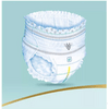 Pampers Premium Care Baby pelene 31 kom, vel.6 Pampers Premium Care Baby pelene 31 kom, vel.6