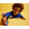 LEGO 21251