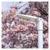 LED LÁMPA UTCAI SOLIS 30W 3600LM WW