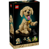 LEGO® Icons Golden retriever kutyus (11384)