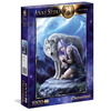 Anne Stokes Collection-Protector (1000)