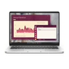 Dell Pro 14 PC14250 Notebook (PC14250_380646)