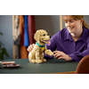 LEGO® Icons Golden retriever kutyus (11384) LEGO® Icons Golden retriever kutyus (11384)