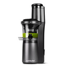 Nutribullet NBJ500 Slow Juicer sokovnik Nutribullet NBJ500 Slow Juicer sokovnik