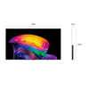 LG OLED83C61LA 83 LG OLED83C61LA 83