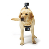 GoPro Fetch Dog Harness Kutyahám kameratartó (ADOGM-001)