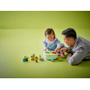 LEGO 10441