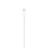 Lightning to USB Cable (1m)