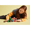 LEGO 21275