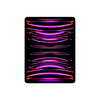 Apple iPad Pro (2022) 12.9 Apple iPad Pro (2022) 12.9