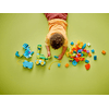 LEGO 10451