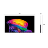 LG OLED65C61LA 65 LG OLED65C61LA 65