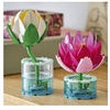 LEGO® Botanicals Tündérrózsák (11511)