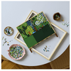 LEGO® Art Claude Monet – Híd a vízililiomos tó felett (31220)