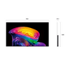 LG OLED42C61LA 42 LG OLED42C61LA 42