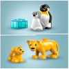 LEGO® DUPLO® Životinjske obitelji u divljini: Pingvini i lavovi (10442) LEGO® DUPLO® Životinjske obitelji u divljini: Pingvini i lavovi (10442)