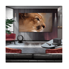 LG OLED77M59LA 77" OLED evo AI 4K UHD Smart TV