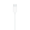 EarPods (USB-C)