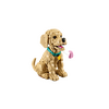 LEGO® Icons Golden retriever kutyus (11384)