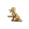 LEGO® Icons Golden retriever kutyus (11384)