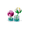 LEGO® Botanicals Tündérrózsák (11511)