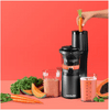 Nutribullet NBJ500 Slow Juicer sokovnik