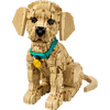 LEGO® Icons Golden retriever kutyus (11384) LEGO® Icons Golden retriever kutyus (11384)