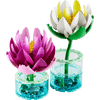 LEGO® Botanicals Tündérrózsák (11511) LEGO® Botanicals Tündérrózsák (11511)