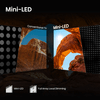 Mini-LED TV