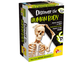 Zseni vagyok - Fedezd fel az emberi testet! (100224) Zseni vagyok - Fedezd fel az emberi testet! (100224)