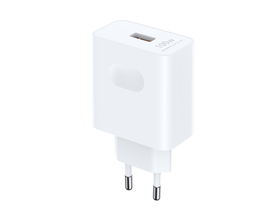 SuperCharger 100W Power Adapter