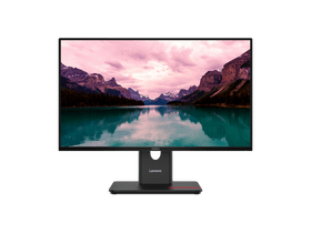 Lenovo ThinkVision T24-40 64A4MAT2EU 23,8