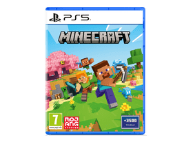 PS5 MINECRAFT