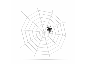Pókháló és pók - fehér - 450 x 450 cm