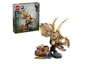 LEGO 76969