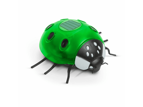 Szolár katicabogár zöld 6 LED