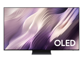 Samsung QE48S95HAEXXH 48