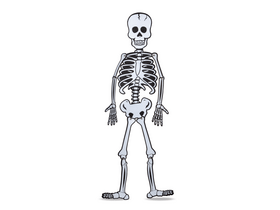 Family 56559 Halloween dekoráció, csontváz, habszivacs Family 56559 Halloween dekoráció, csontváz, habszivacs