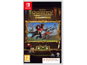 NS HARRY POTTER QUIDDITCH CHAMP DE (CIB)