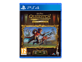 PS4 HARRY POTTER QUIDDITCH CHAMP DE