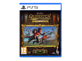 PS5 HARRY POTTER QUIDDITCH CHAMP DE