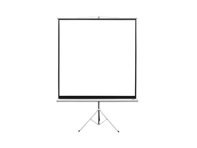 Elite Screens T119NWS1 119 Elite Screens T119NWS1 119