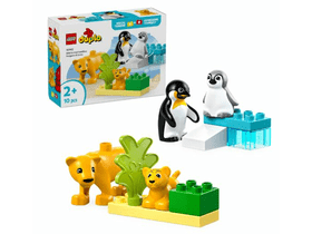 LEGO® DUPLO® Állatcsaládok a vadvilágban: Pingvinek és oroszlánok (10442) LEGO® DUPLO® Állatcsaládok a vadvilágban: Pingvinek és oroszlánok (10442)