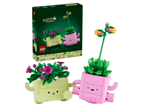LEGO® Botanicals Hintázó növények (11506)