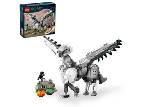 LEGO® Harry Potter™ Hogwarts™ (76427) LEGO® Harry Potter™ Hogwarts™ (76427)